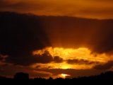 DSCF5825