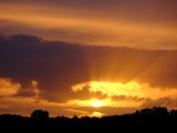 DSCF5826