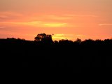 DSCF5872