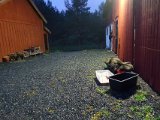 DSC01239
