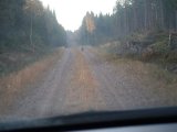 DSC01246