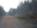 DSC01247