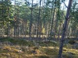 DSC01250
