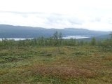 DSC01050