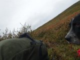 DSC01052