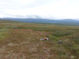 DSC01054