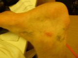 DSC01061