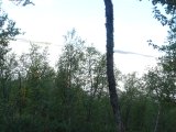 DSC01090