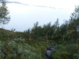 DSC01091