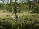 DSC01119