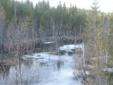 DSC01599