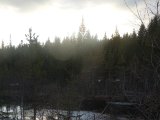 DSC01602