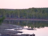 DSCF6669