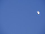 DSCF6673