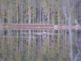 DSCF6677