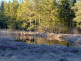 DSCF6685