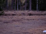 DSCF6689