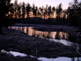 DSCF6690