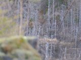 DSCF6707