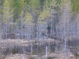 DSCF6710