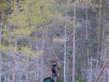 DSCF6711