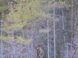 DSCF6713