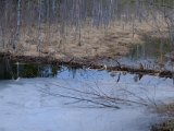 DSCF6718