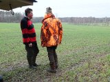 DSC02297  den gris jeg så blive skudt - jeg sad ved skovkant i baggund (bag elmast v 'oranges' H skulder)