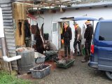 DSC02300  Andreas er den kyndige i opbrækning (det gør de først 'hjemme' her) og forlægning