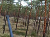 DSC02303  Morgenpas..ser kun rå med lam.. men stopper kun imllem lidt smågrene , så kan ikke sætte et rent sigte/skud