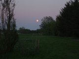 DSC01656