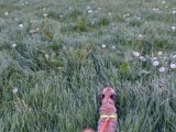 DSC01661