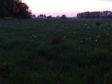 DSC01671