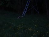 DSC01672