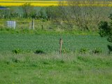 DSCF6840