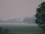 DSCF6865