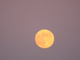 DSCF6867