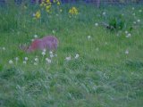 DSCF6874
