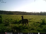 Buk Kærvej Maj 2019