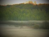 DSCF6734