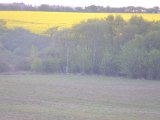 DSCF6738
