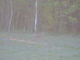DSCF6747