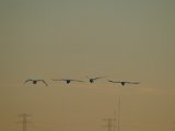 DSCF6761