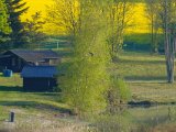 DSCF6819