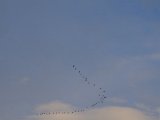 DSCF6852