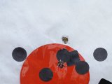 DSC02049