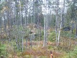 DSC02079