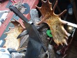 DSC02081