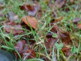 DSC02150