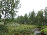 DSC01909